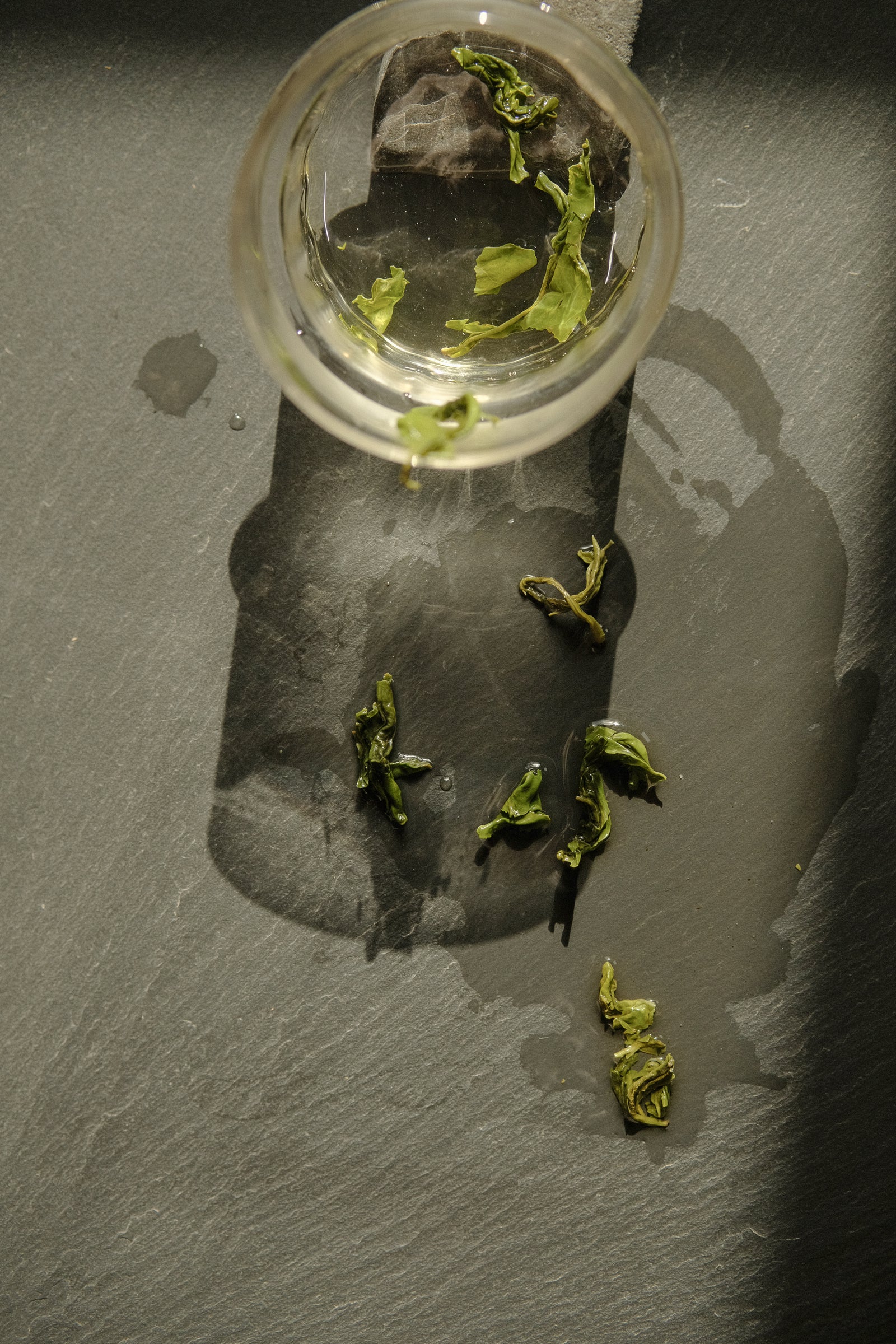 Jasmine Dew Wholesale