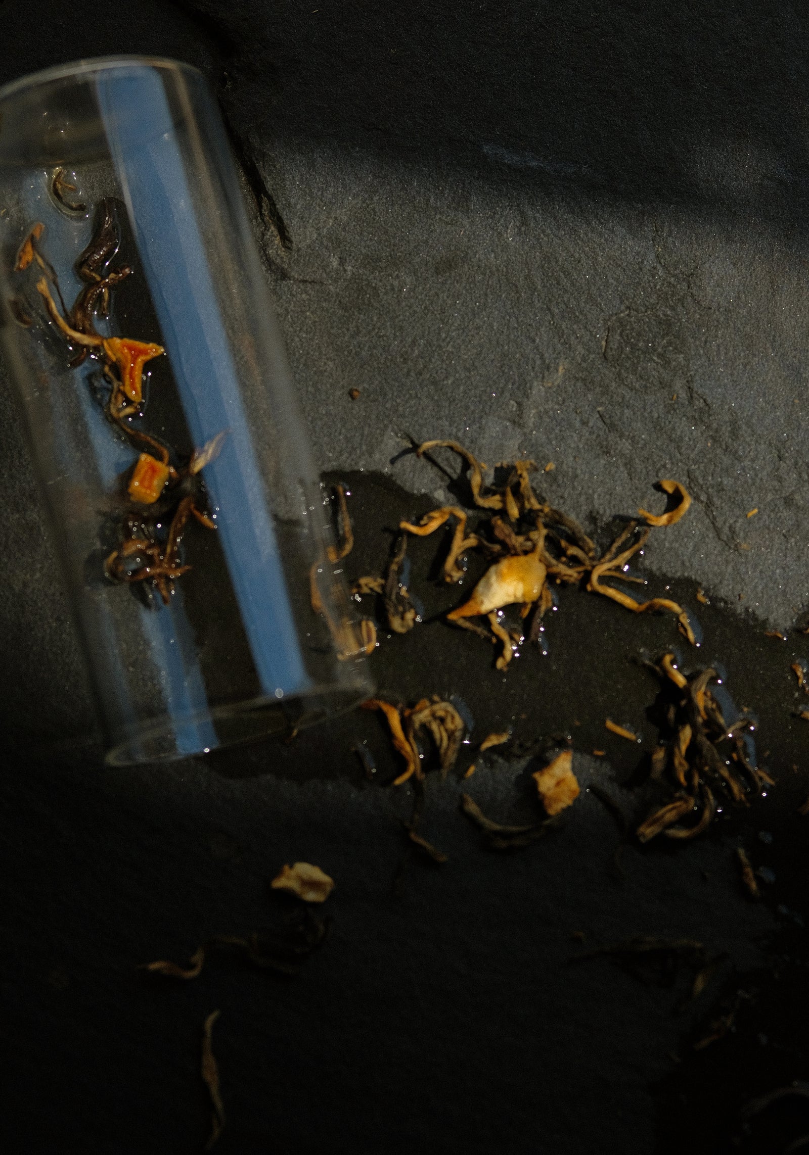 Signature Earl Grey black tea